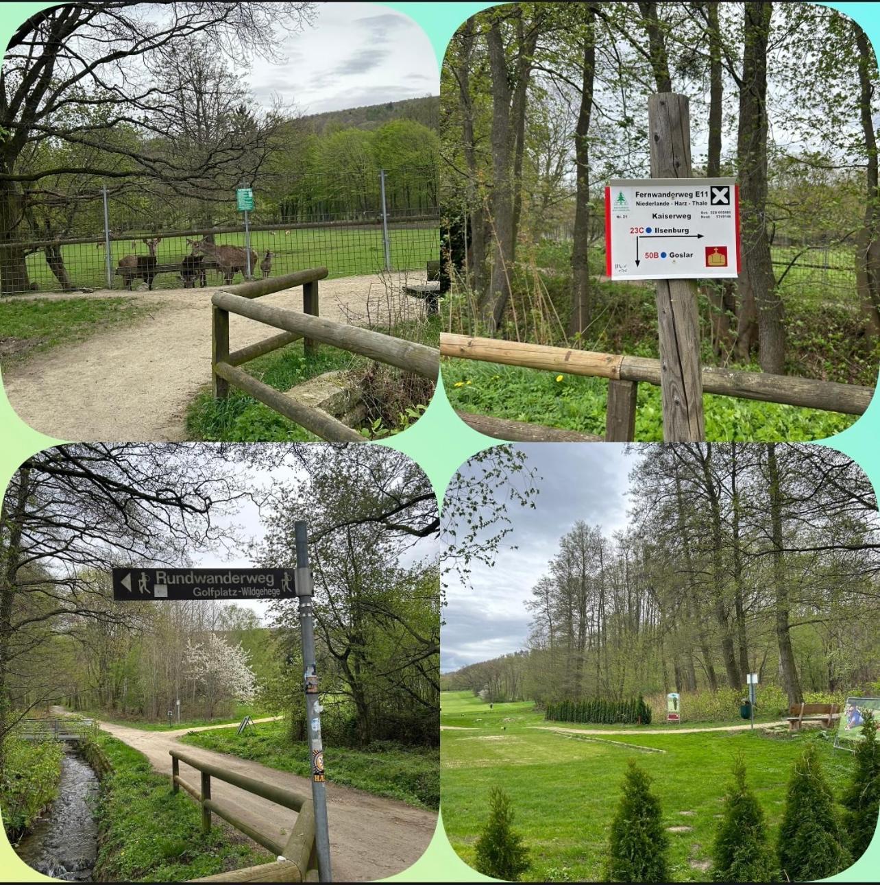 Kleine Auszeit Am Wildgehege Apartment Bad Harzburg Luaran gambar