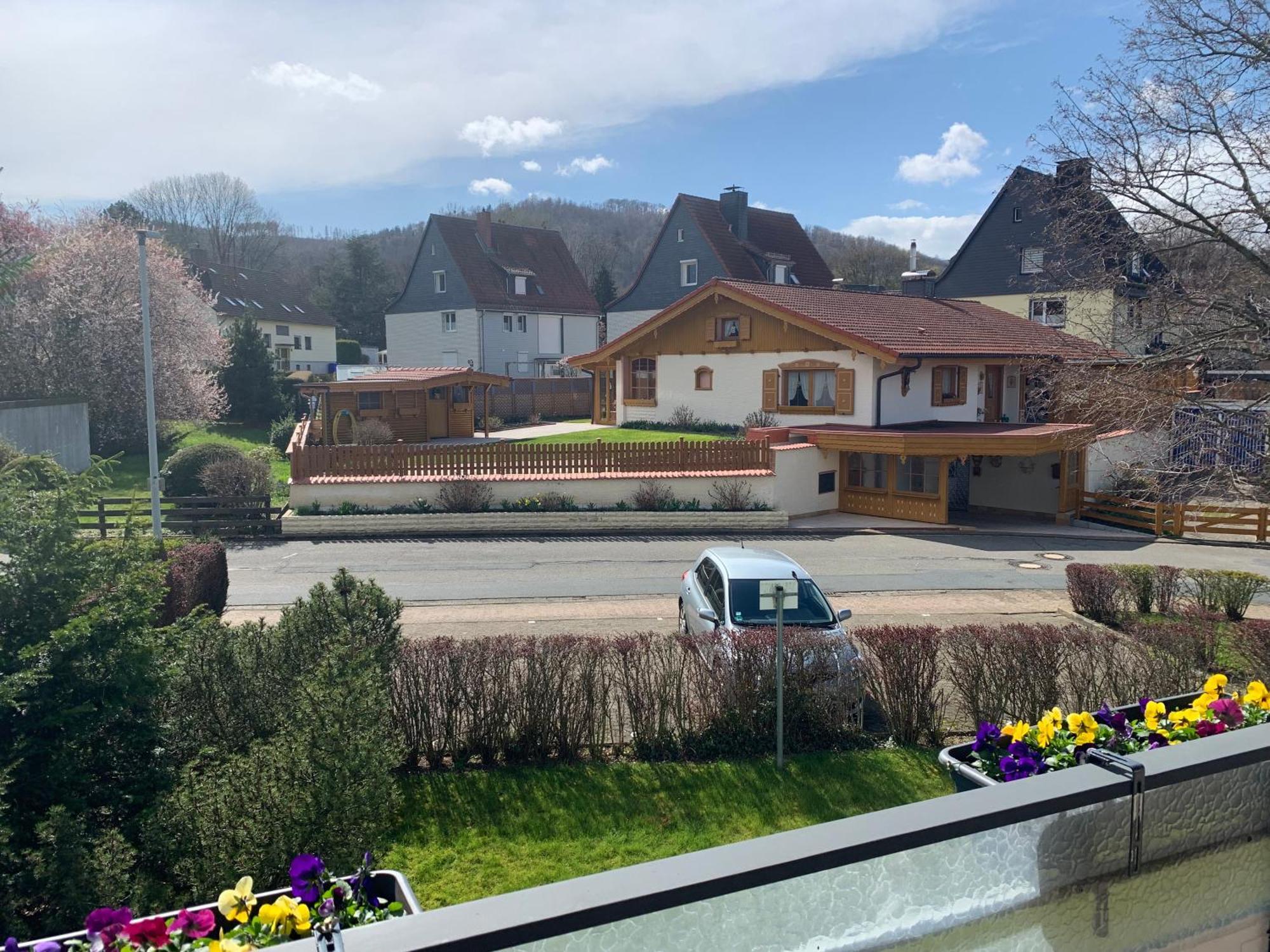 Kleine Auszeit Am Wildgehege Apartment Bad Harzburg Luaran gambar