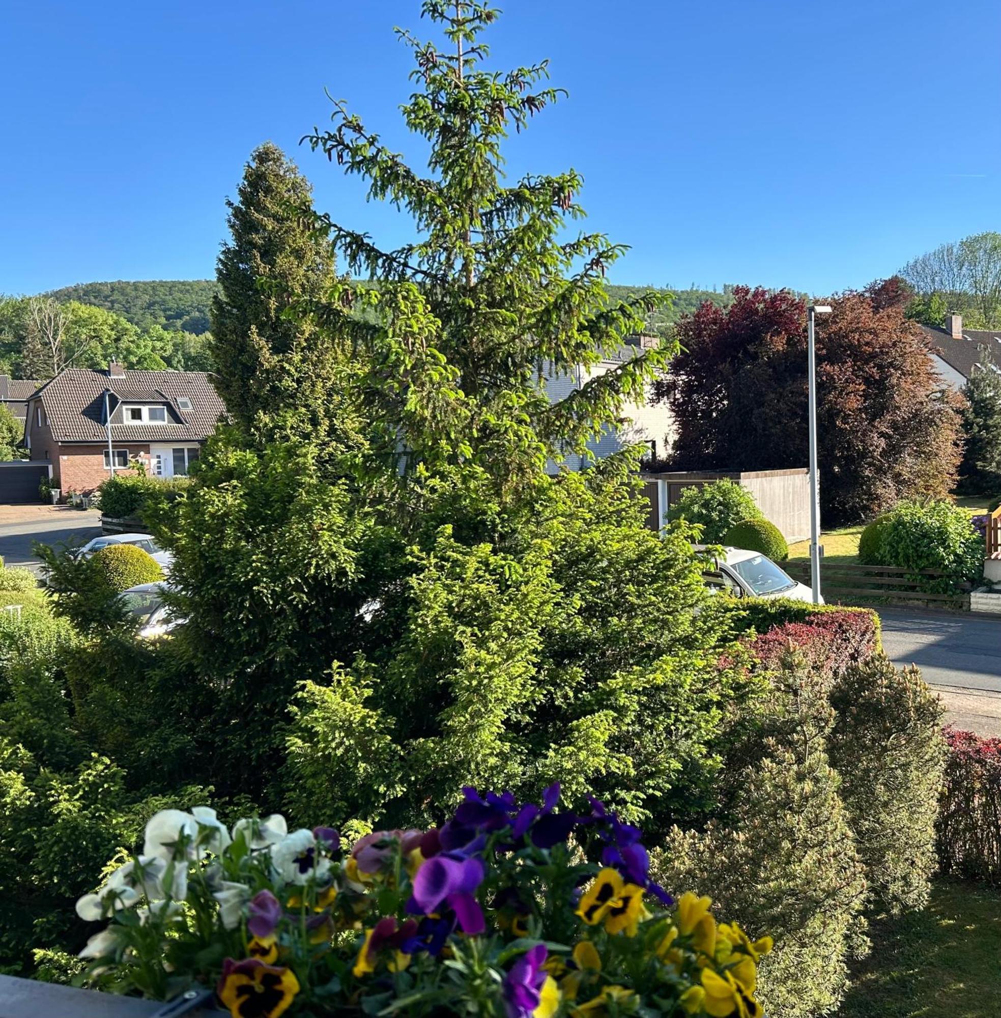 Kleine Auszeit Am Wildgehege Apartment Bad Harzburg Luaran gambar