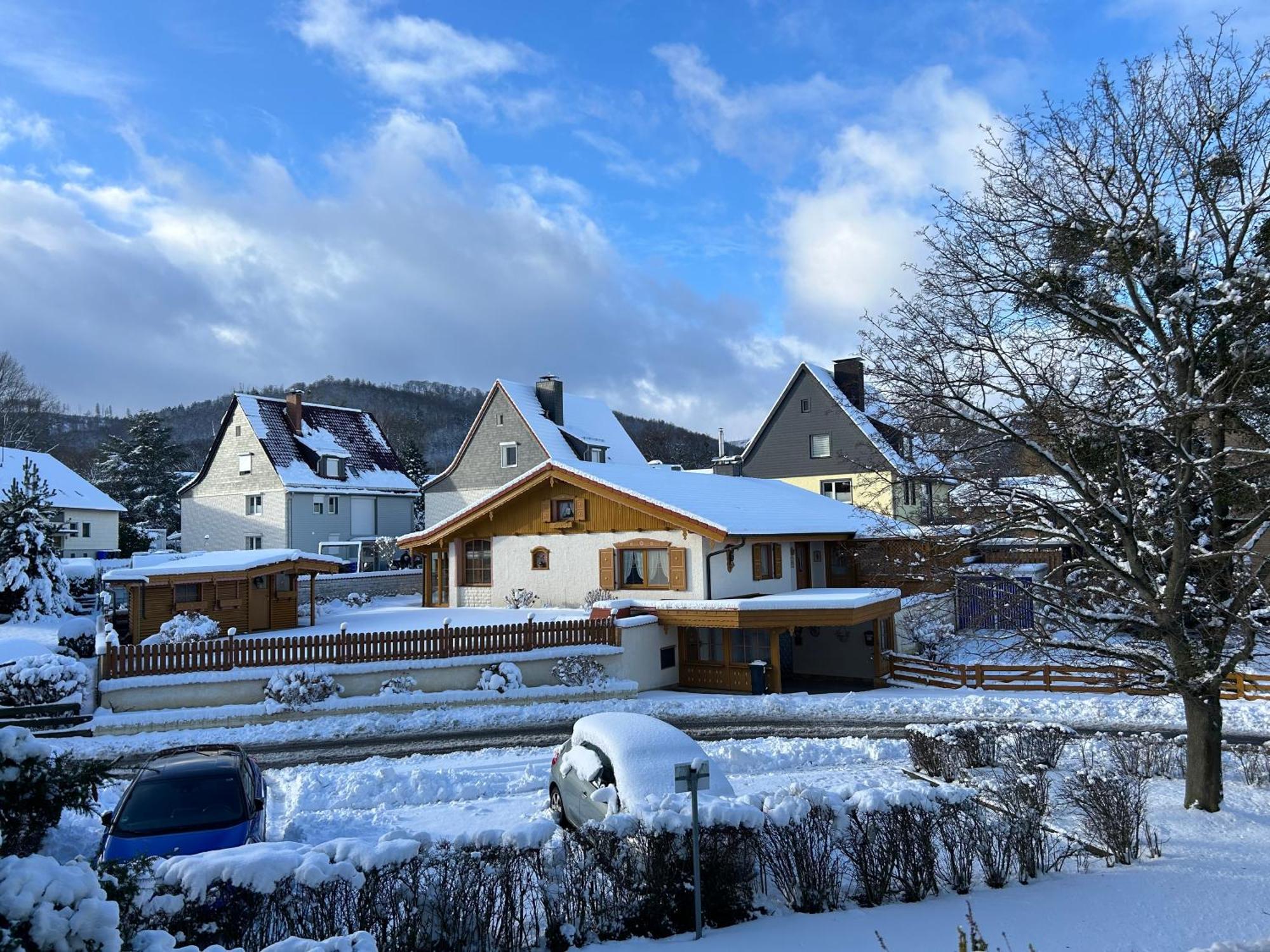 Kleine Auszeit Am Wildgehege Apartment Bad Harzburg Luaran gambar